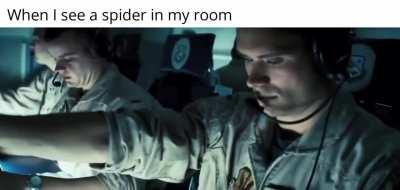 I send the navy too for good measure 