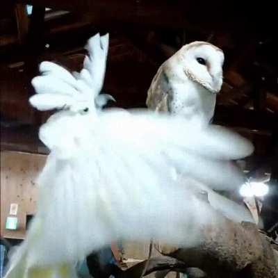 Morning people are the worst