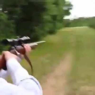 An interesting title