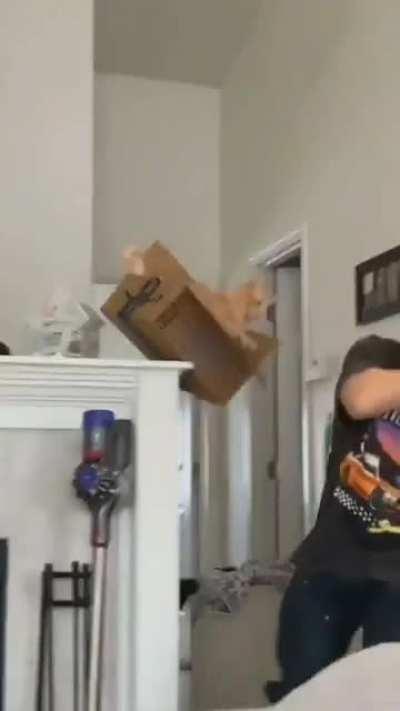 Everything was calculated, but God this cat is bad at maths