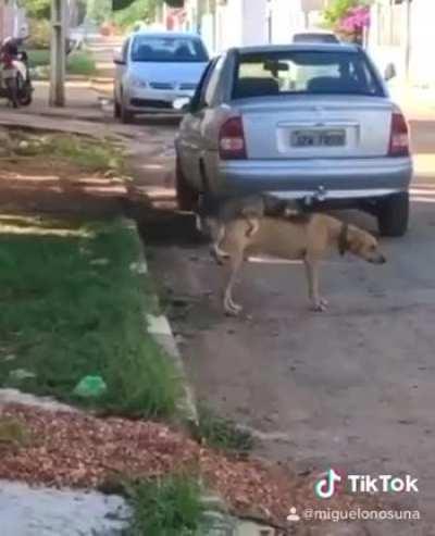 No dejes que tus sueños sean sueños