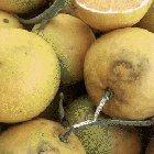 Having the time of his little life. Enjoy big things in short life.