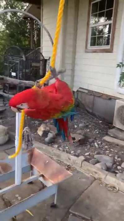 He’s a wild partier