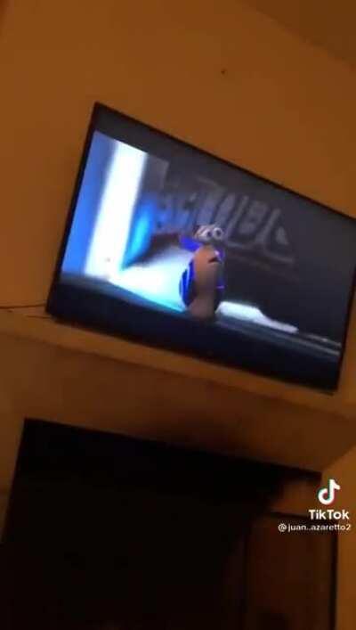 Argentina, Generación Z