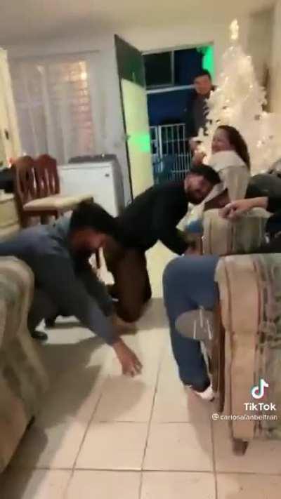 Do you think dogs understand how hilarious and loved they are?