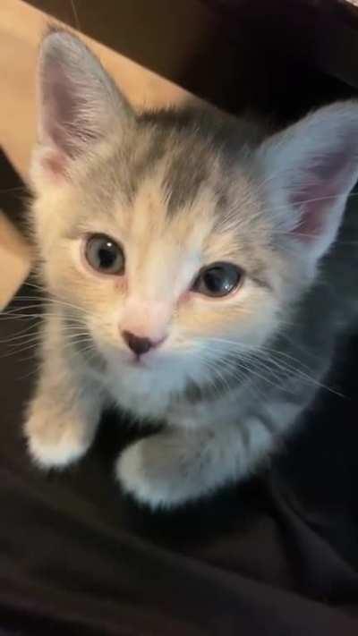 The moment she realized I filmed her...