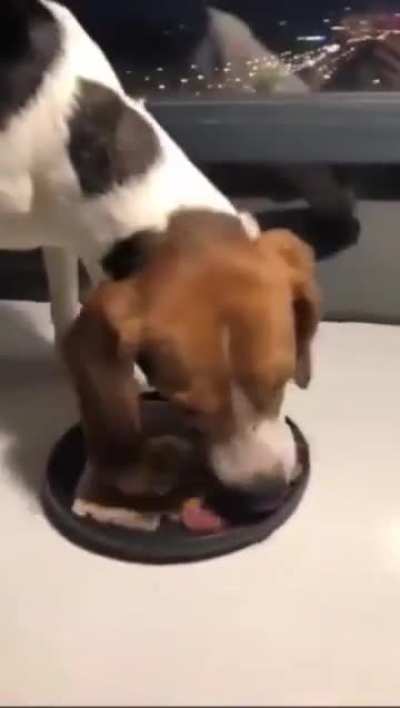 洼地的娃娃终于吃饱了