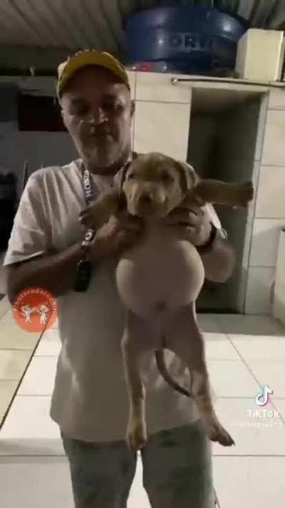 ð¥°ð¶ð¶