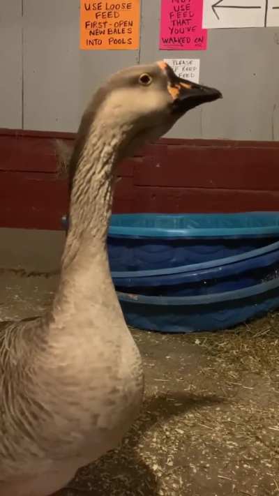 Oh! You’re still here?