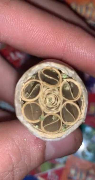 rolled a ‘shotgun shell’ last night