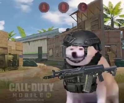 When I play rank without a team: