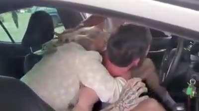 Poor mofos drivers afraid get sued to death. Look how fucking scared he is to even touch her, America is fucked