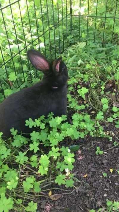 My new handsome man!