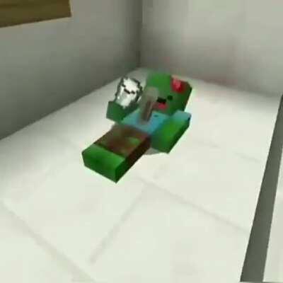 Posting random videos from my phone until I buy a new home button - day 37