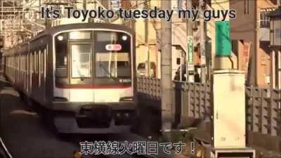 It's Toyoko Tuesday Fellas