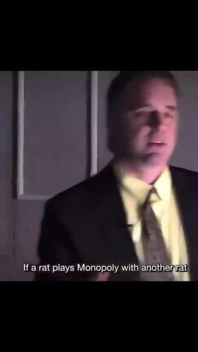 Rats play monopoly, by the way