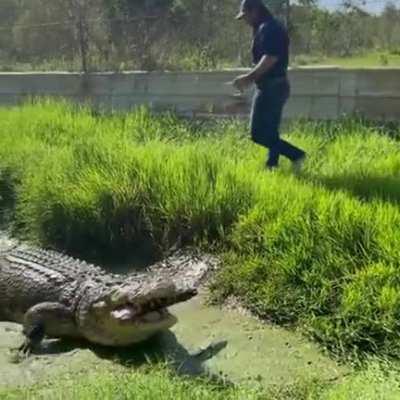 This dude has experience with Crocodiles and Gators, but this is still dangerous..