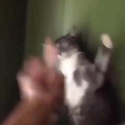 Instagram dan alıntıdır: (needs.exe)