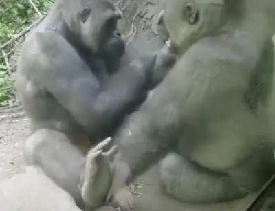 Opportunity wide open