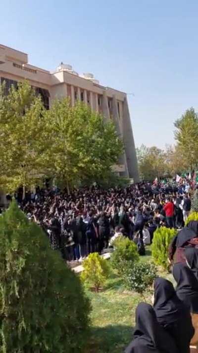 Iranian women protests still going strong after 40 days. The chant is 