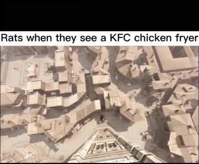 Ass ass in my creed 🐀