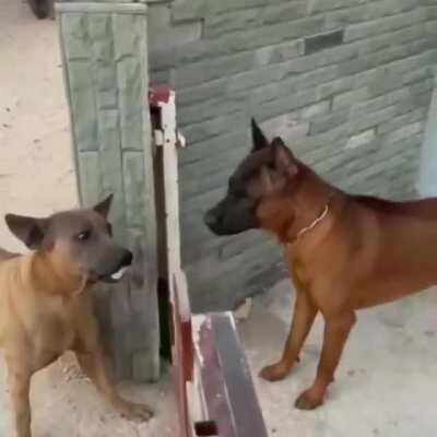 Social media vs in-person confrontation