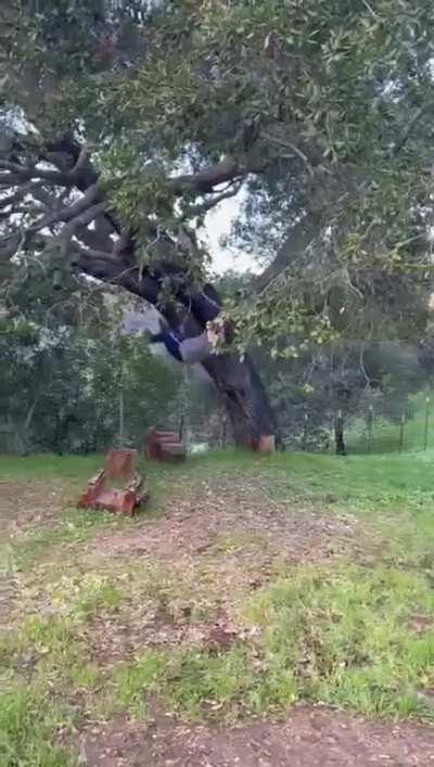 Testing out the new DIY zipline