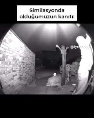 Muz yani simülasyondayız