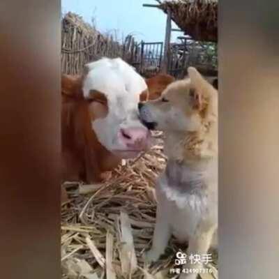 Friendship has no distance