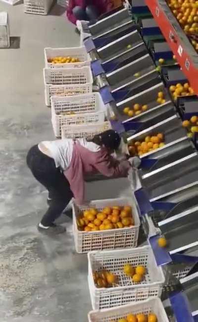 The back pain at the end of the day would be massive