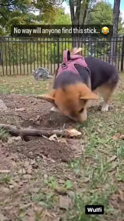 No way will anyone find this stick