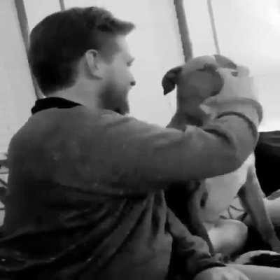 messing with the wrong doggo