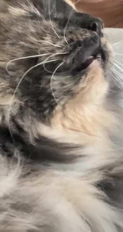 Can someone translate? Every time I take in a sharp breath she has something to say