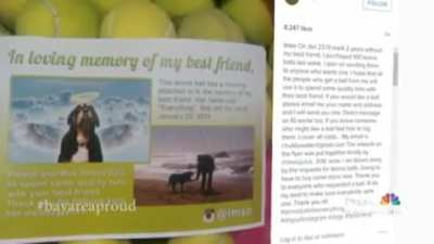 Shittymorph here - This is almost 10 years ago now... What a blessing it was to have a pet that meant this much to me.