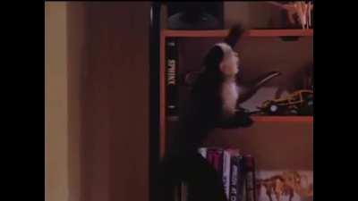 I wonder if the clip is not anyhow strange?