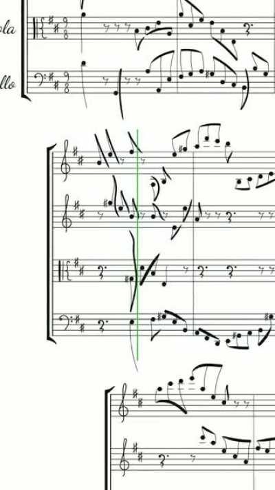 String Quarcat no.4 - featuring adorable Cotton's portrait. [@sympawnies]