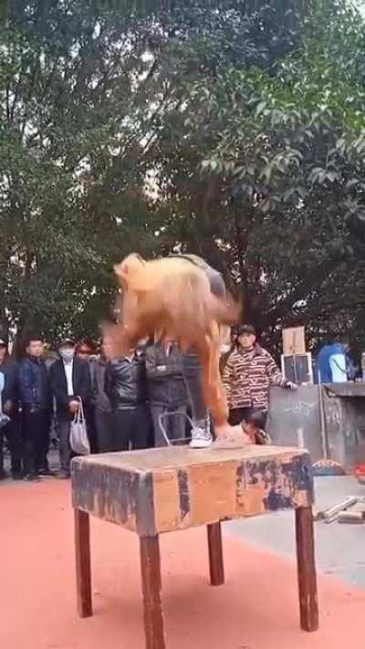 Gymnast Flawlessly Doing Front Flips With Only A Small Table Underneath