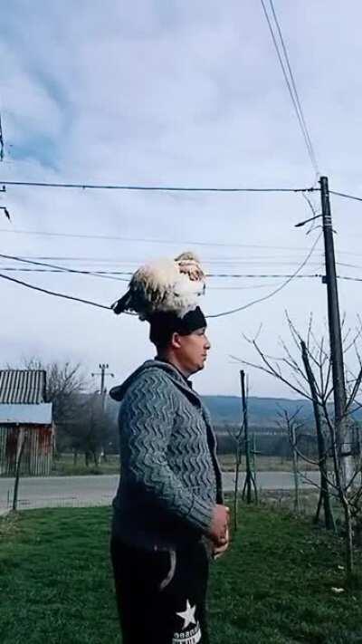 Iulia Albu varianta masculina