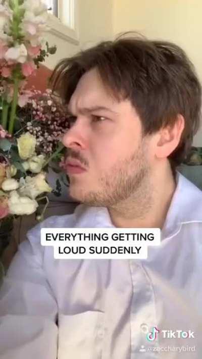 my nan hijacked my hearing aids