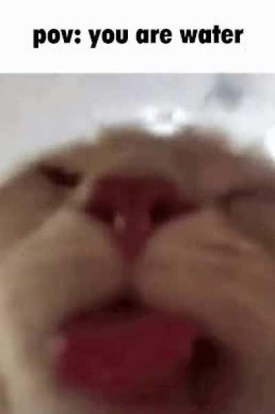 Drinking water turns me on