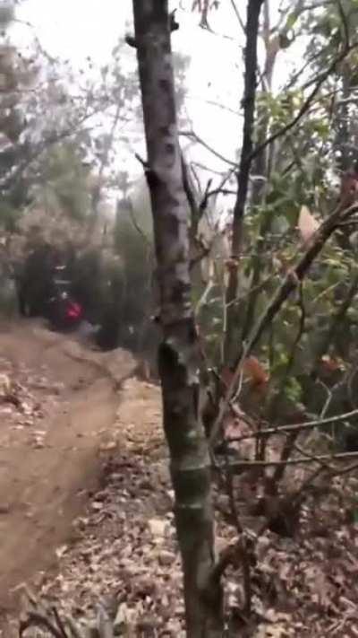What could go wrong riding your bike in the woods PT 2