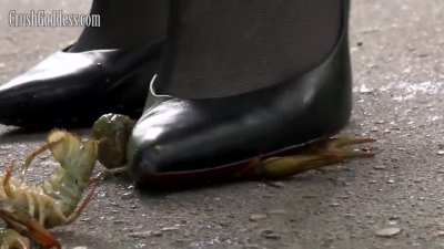 CrushGoddess Marina crd 33 extraits