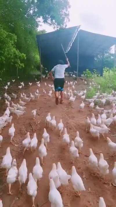 Druid Level 20, Circle of Fast Food