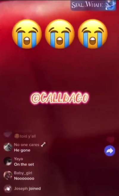 sometimes i wonder if cali is even real