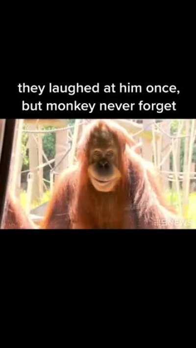 Monkey got revenge