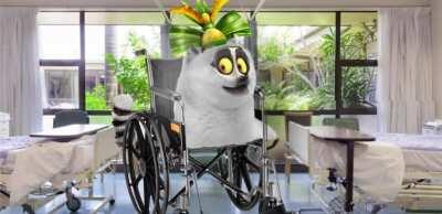 Le King Julien gets paralyzed for life