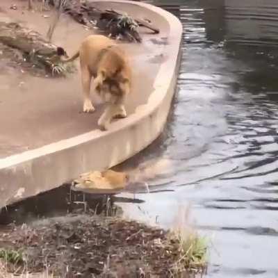 How many times have I told you to watch where you're going