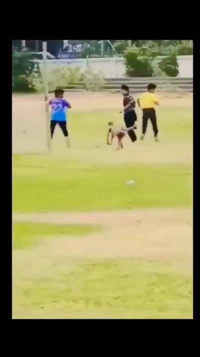 Travis Head encounters blue jerseys in the wild. 