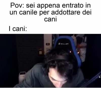 da stalla a canile è un attimo