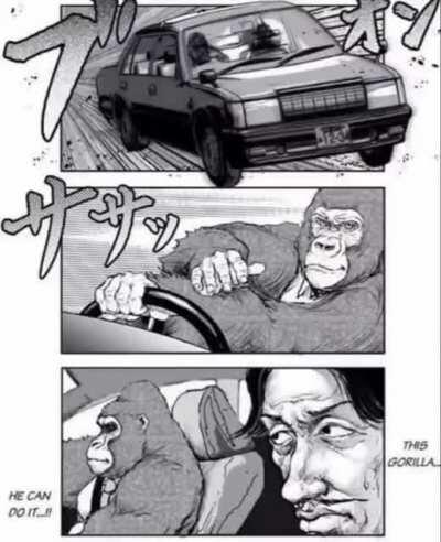 GORILLA REACH THE TOP!!!!